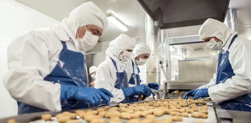 食品廠管道與設(shè)備清洗消毒滅菌全攻略 清洗刷的選擇與應(yīng)用